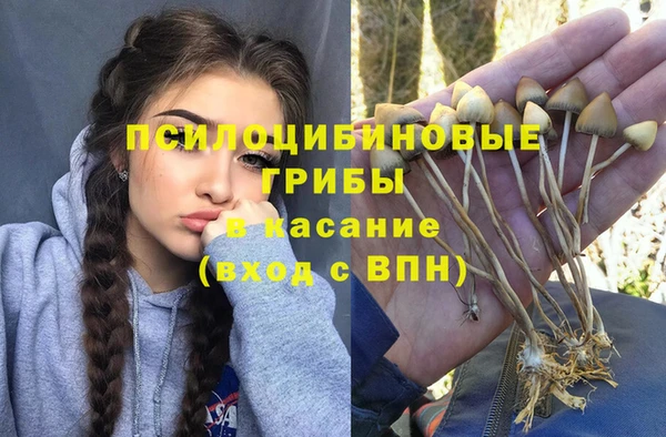 дурь Вязьма