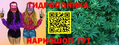 прущие крисы Дубна