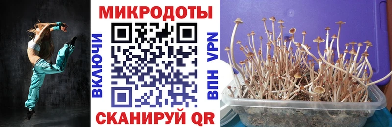 Галлюциногенные грибы ЛСД  Можайск 