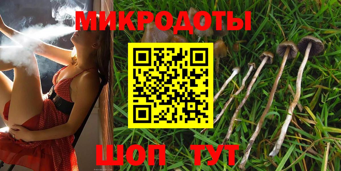 где можно купить наркотик  Можайск  Псилоцибиновые грибы Psilocybine cubensis  Псилоцибиновые грибы прущие грибы 