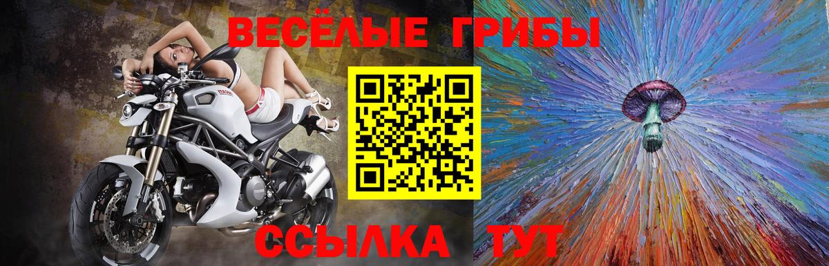 Можайск  Галлюциногенные грибы прущие грибы  Вход с VPN 
